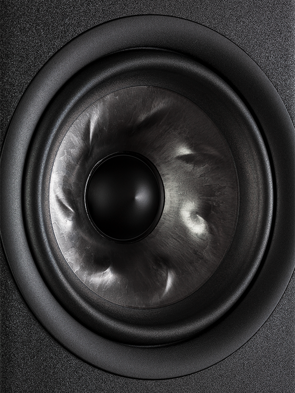 Polk Audio Loudspeaker